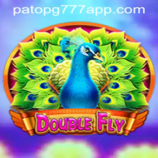 Exploring DoubleFly: A Comprehensive Guide to the Exciting Game